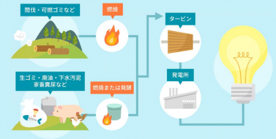 バイオマス発電の仕組み