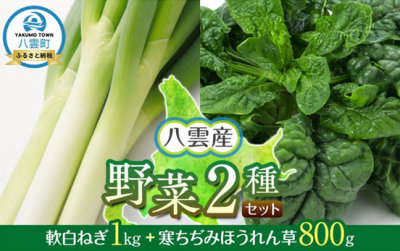 軟白ネギ、寒ちぢみほうれん草